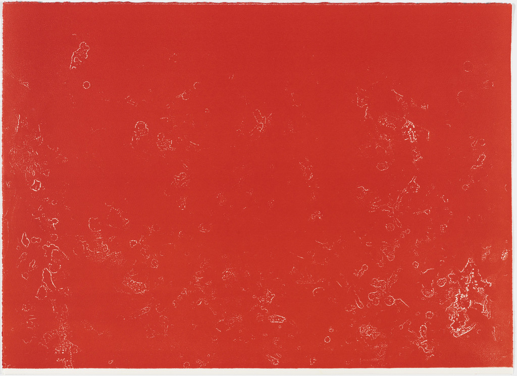 Untitled from Supernova