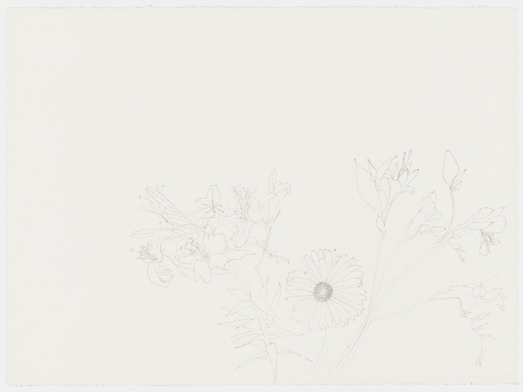 Flower Drawing, Hannah Wilke, 1978