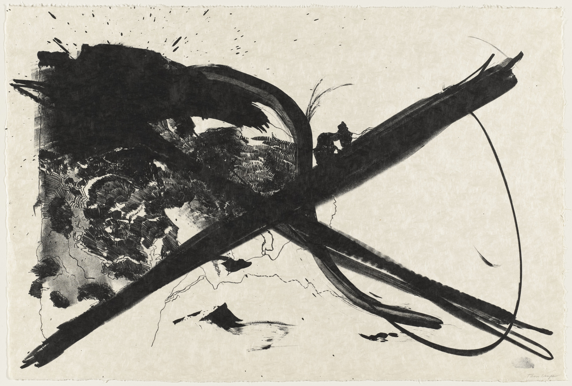 Bruce Conner. Cancellation