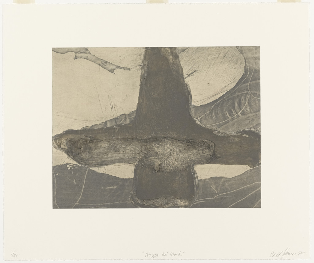 Map of the World (Mappa del mondo)