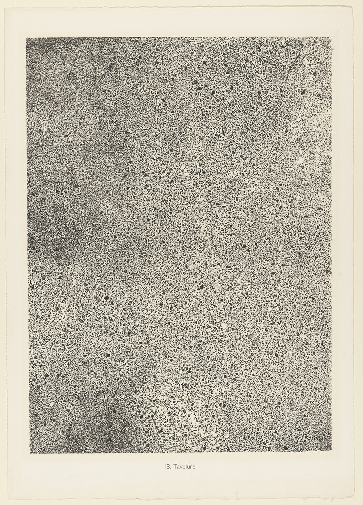 Speckles (Tavelure) from the portfolio The Taker of Imprints (Le Preneur d'empreintes) from Phenomena (Les Phénomènes)