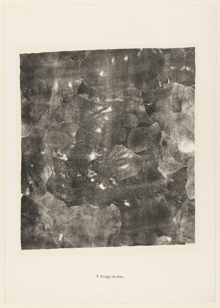 Pavement of Skin (Pavage de peau) from the portfolio The Taker of Imprints (Le Preneur d'empreintes) from Phenomena (Les Phénomènes)