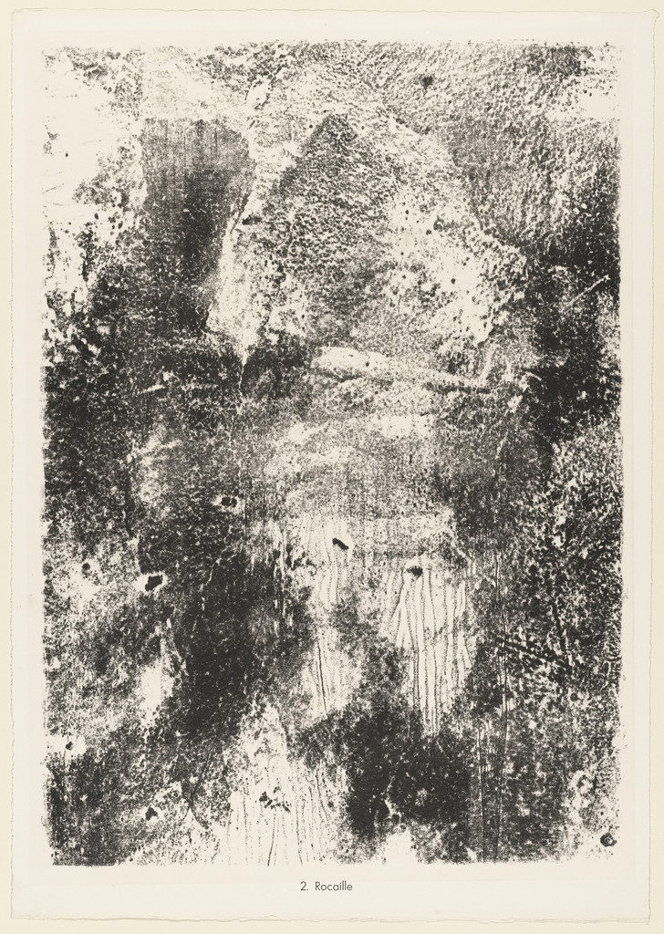 Rock Ground (Rocaille) from the portfolio Territories (Territoires) from Phenomena (Les Phénomènes)