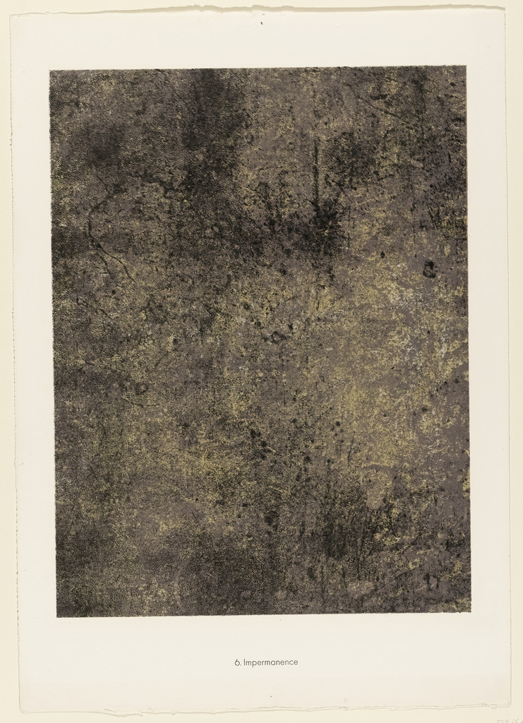 Impermanence from the portfolio Spectacles from Phenomena (Les Phénomènes)