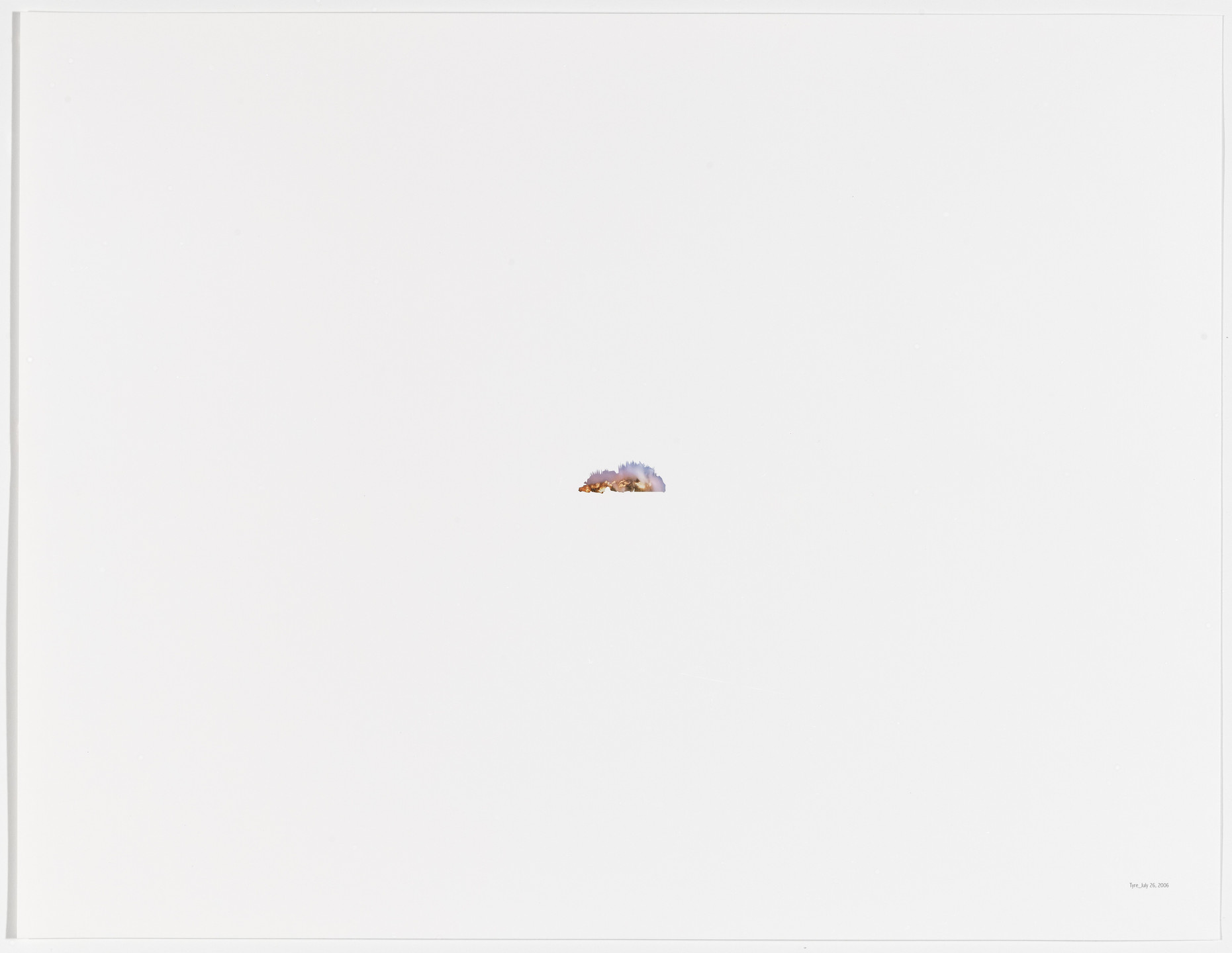 Walid Raad. Oh God, he said, talking to a tree_Tyre: July 26, 2006. 2004/2008