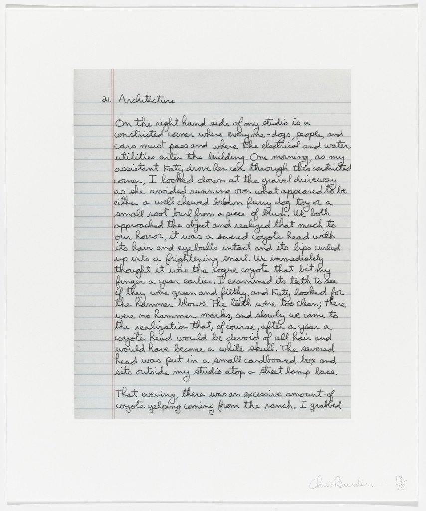 Untitled from Coyote Stories