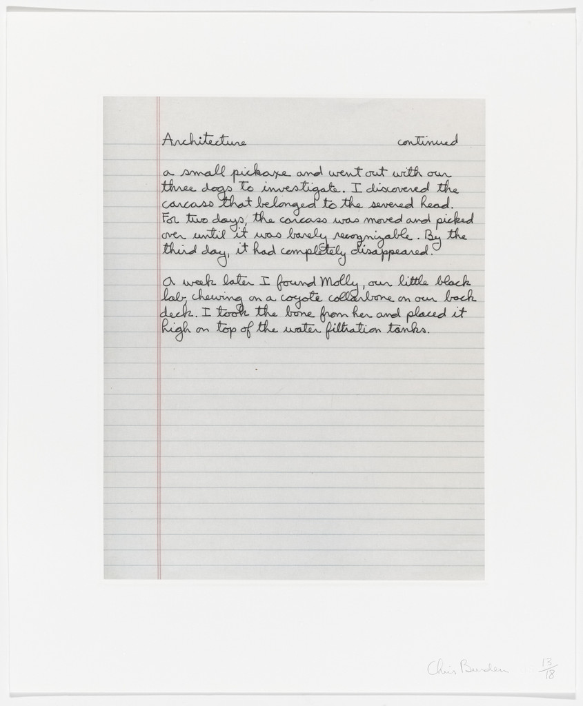 Untitled from Coyote Stories, Chris Burden, 2005