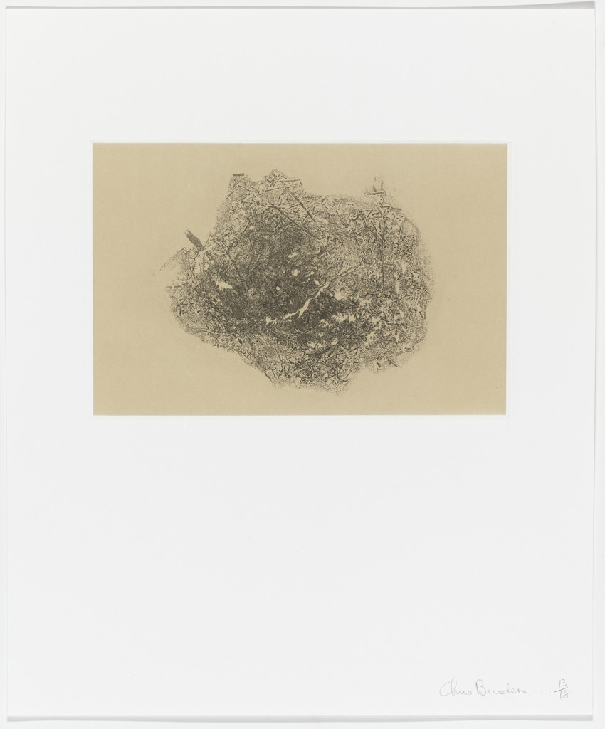 Untitled from Coyote Stories, Chris Burden, 2005