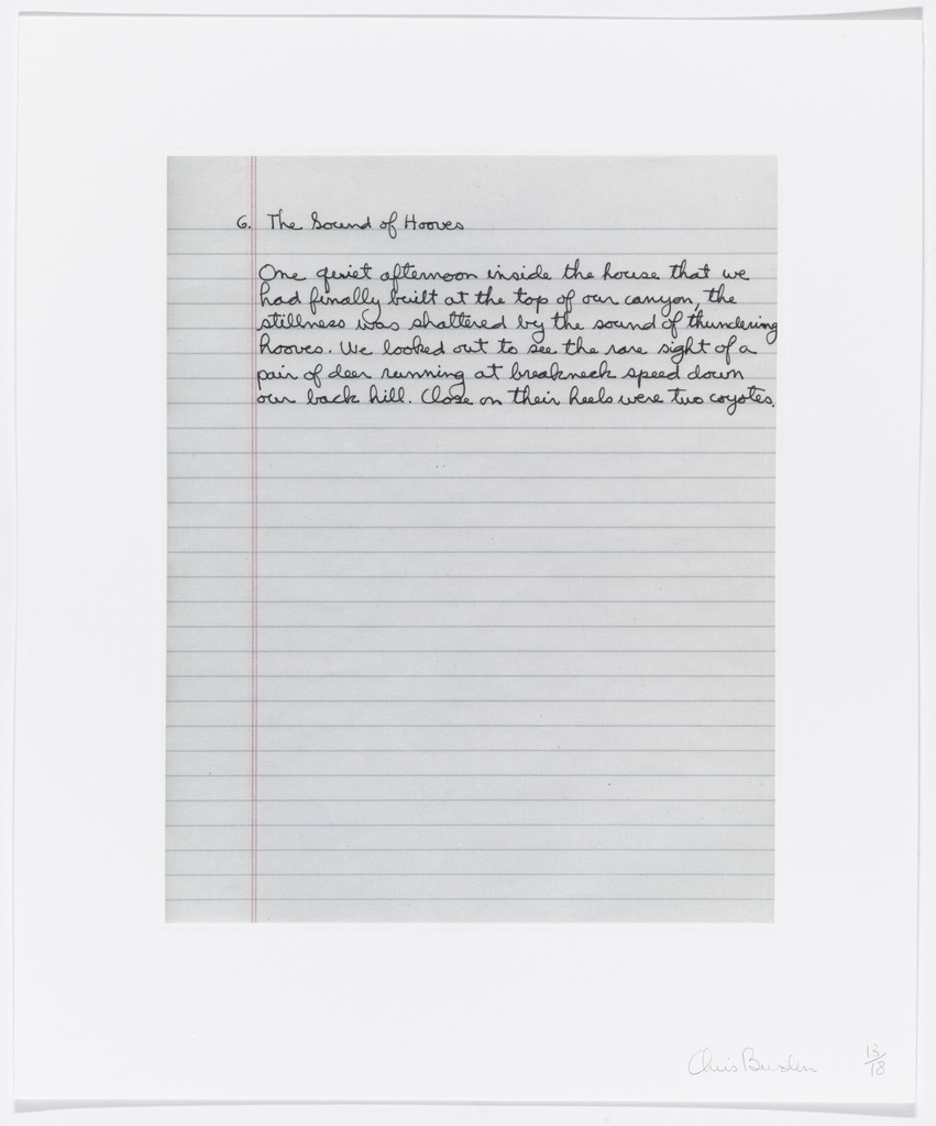 Untitled from Coyote Stories