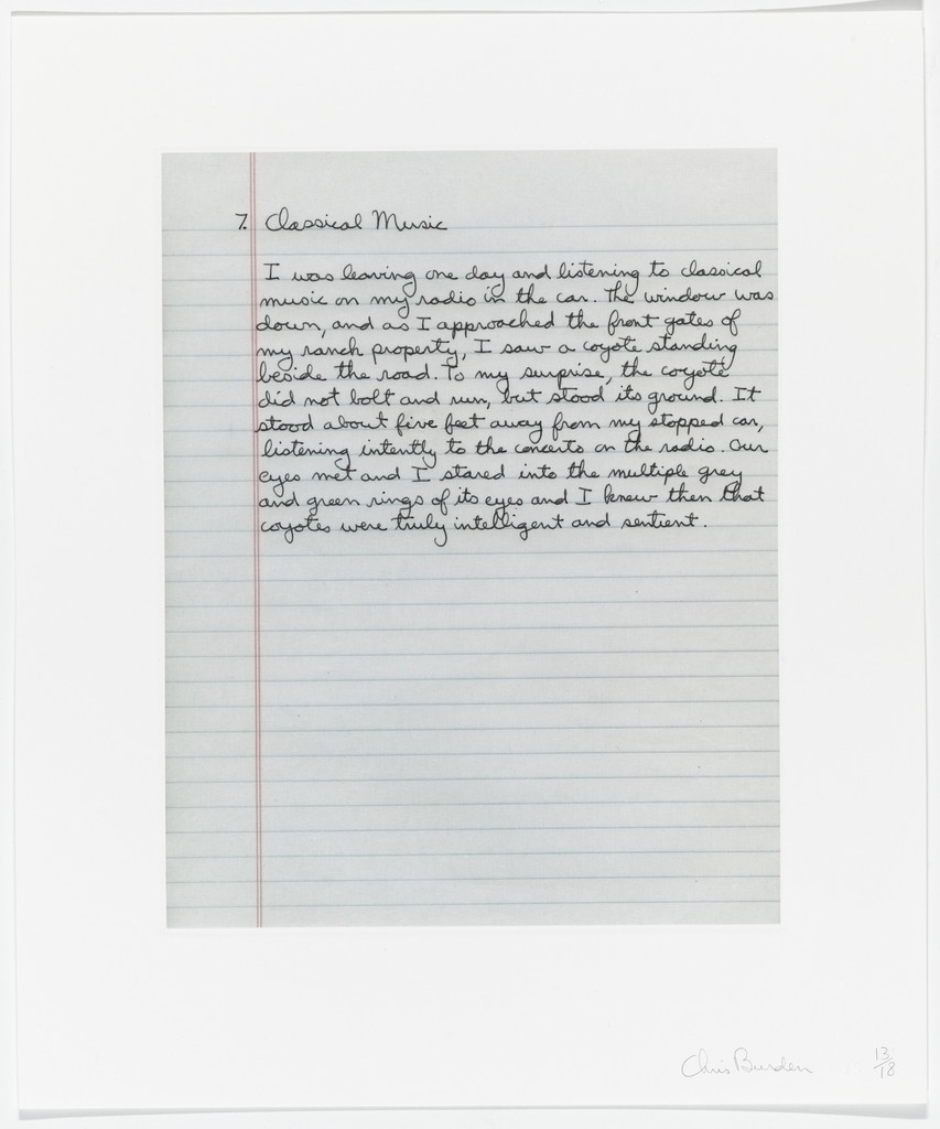 Untitled from Coyote Stories