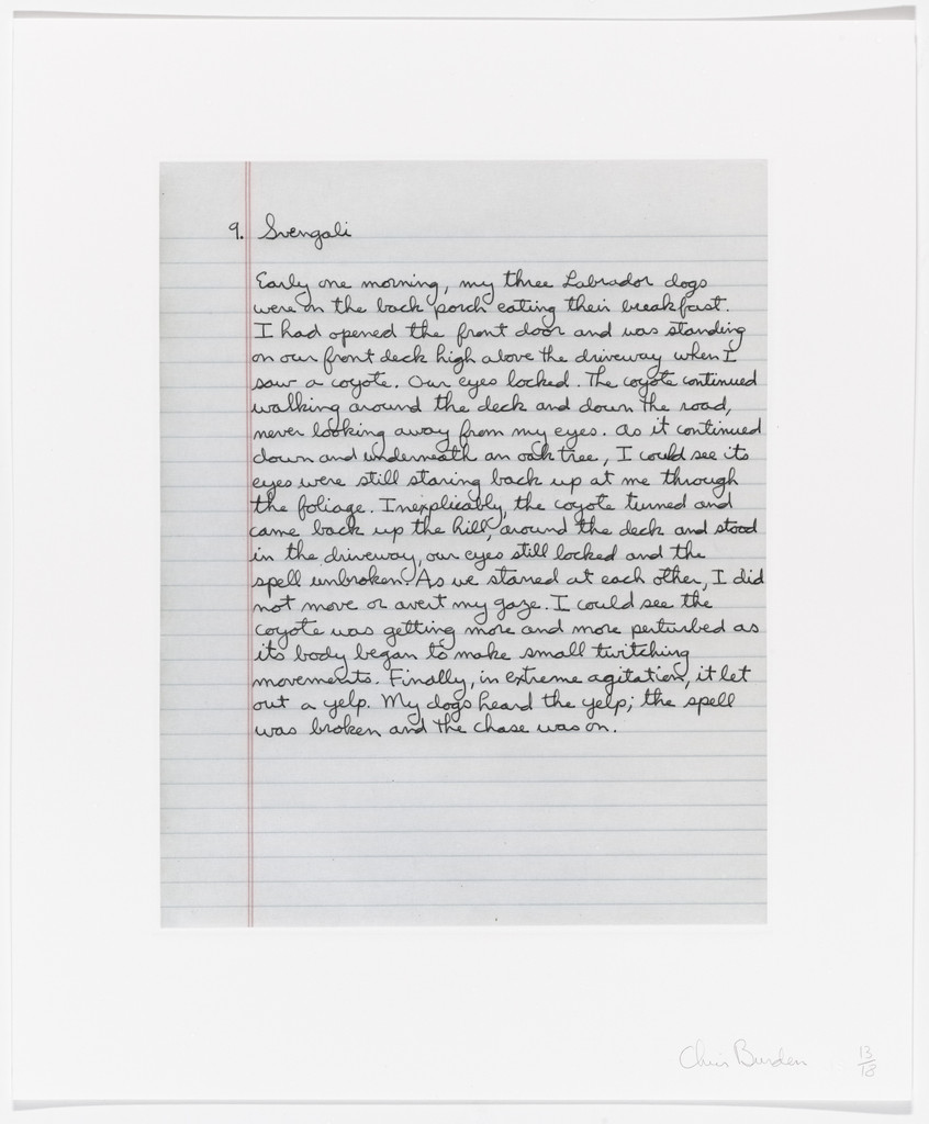 Untitled from Coyote Stories