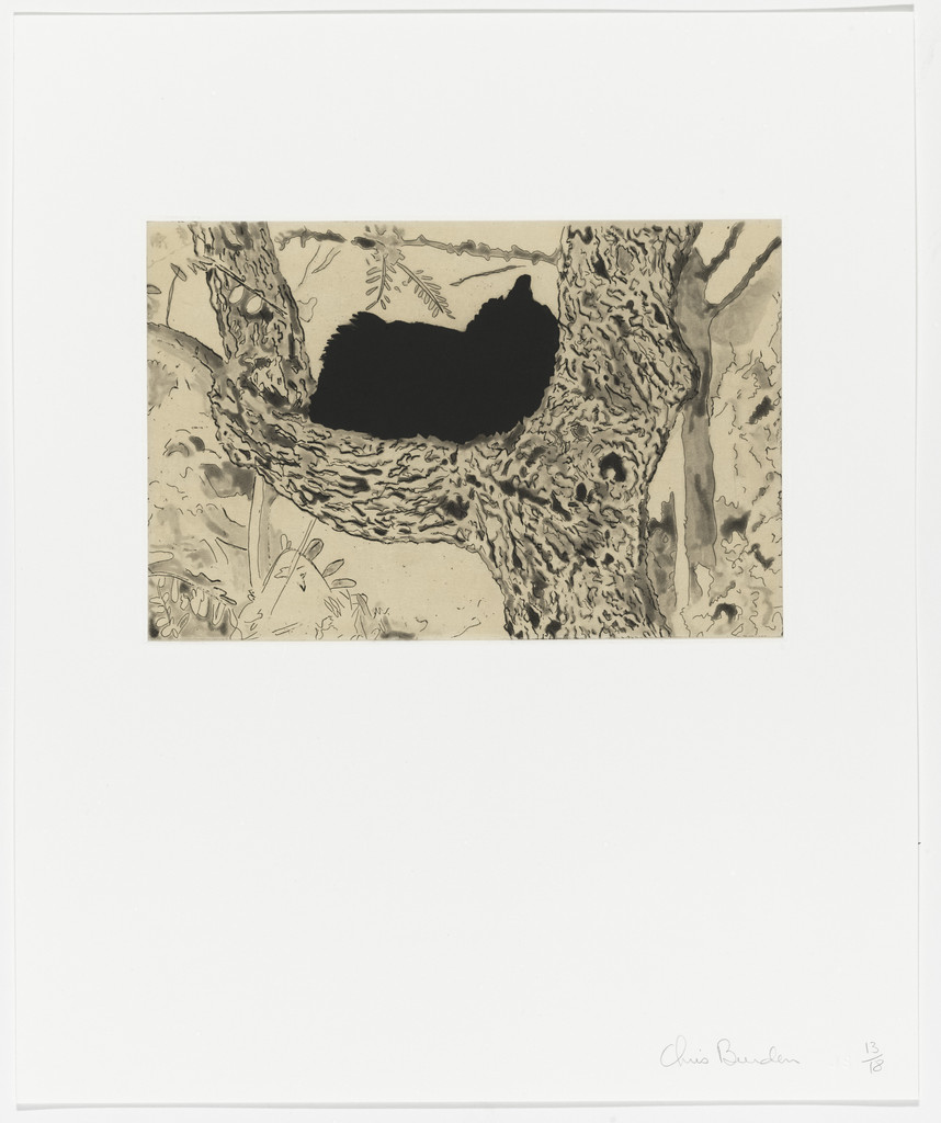 Untitled from Coyote Stories, Chris Burden, 2005