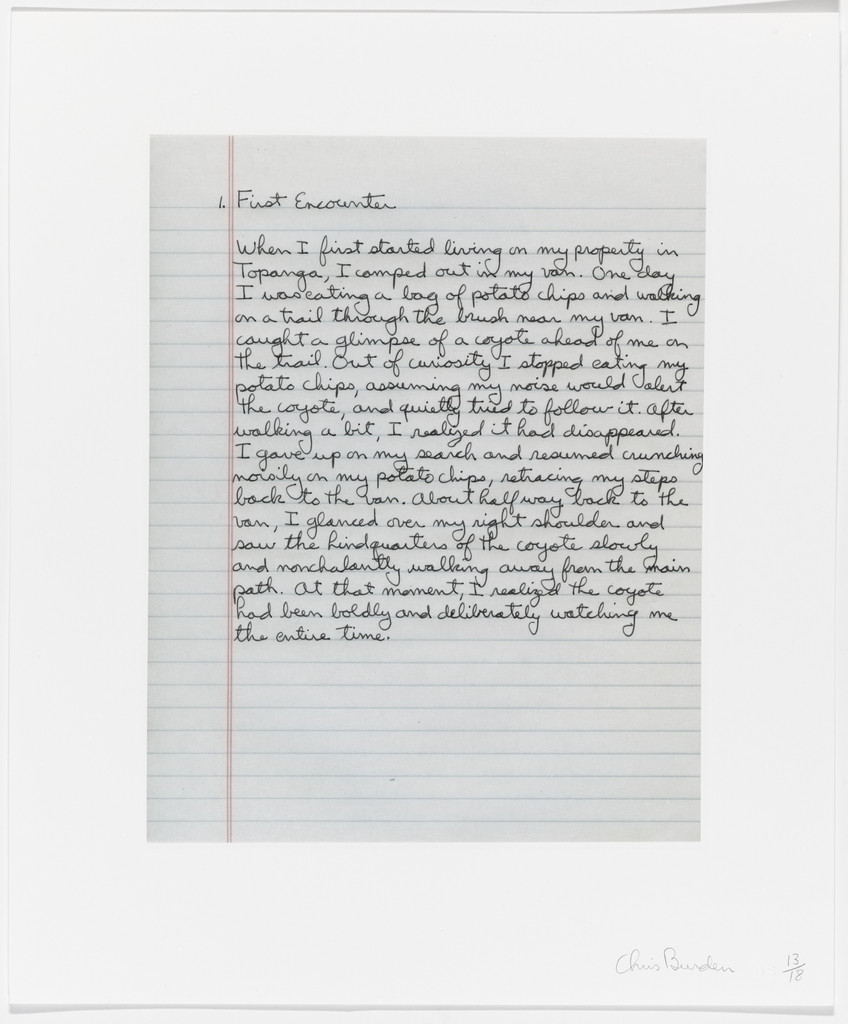 Untitled from Coyote Stories