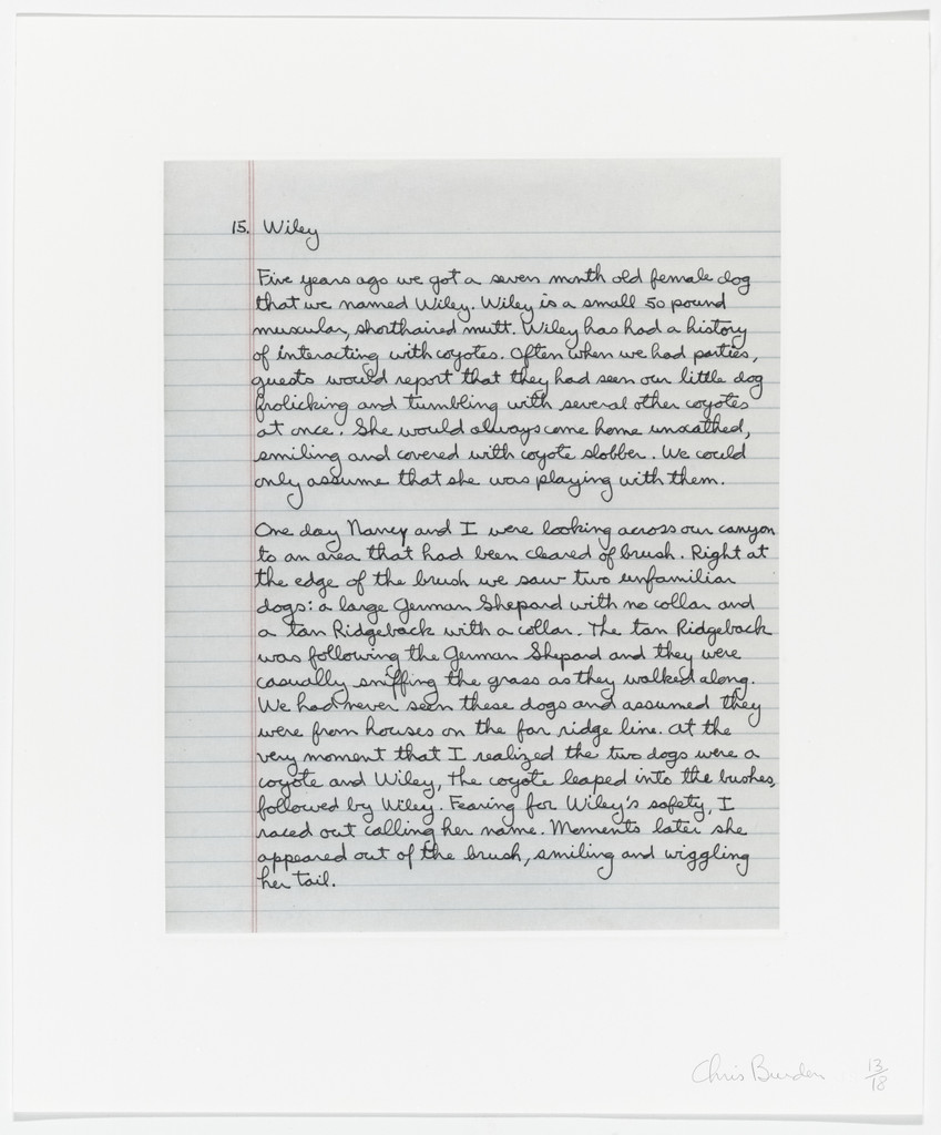 Untitled from Coyote Stories