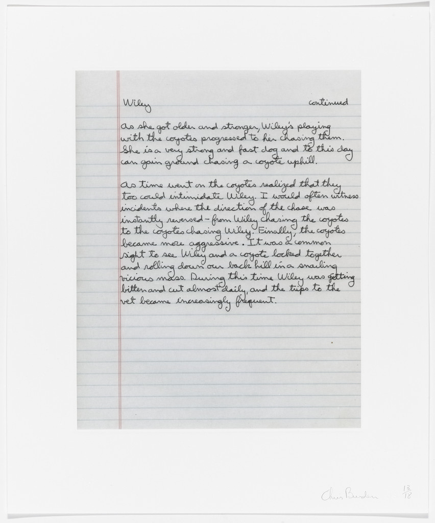 Untitled from Coyote Stories