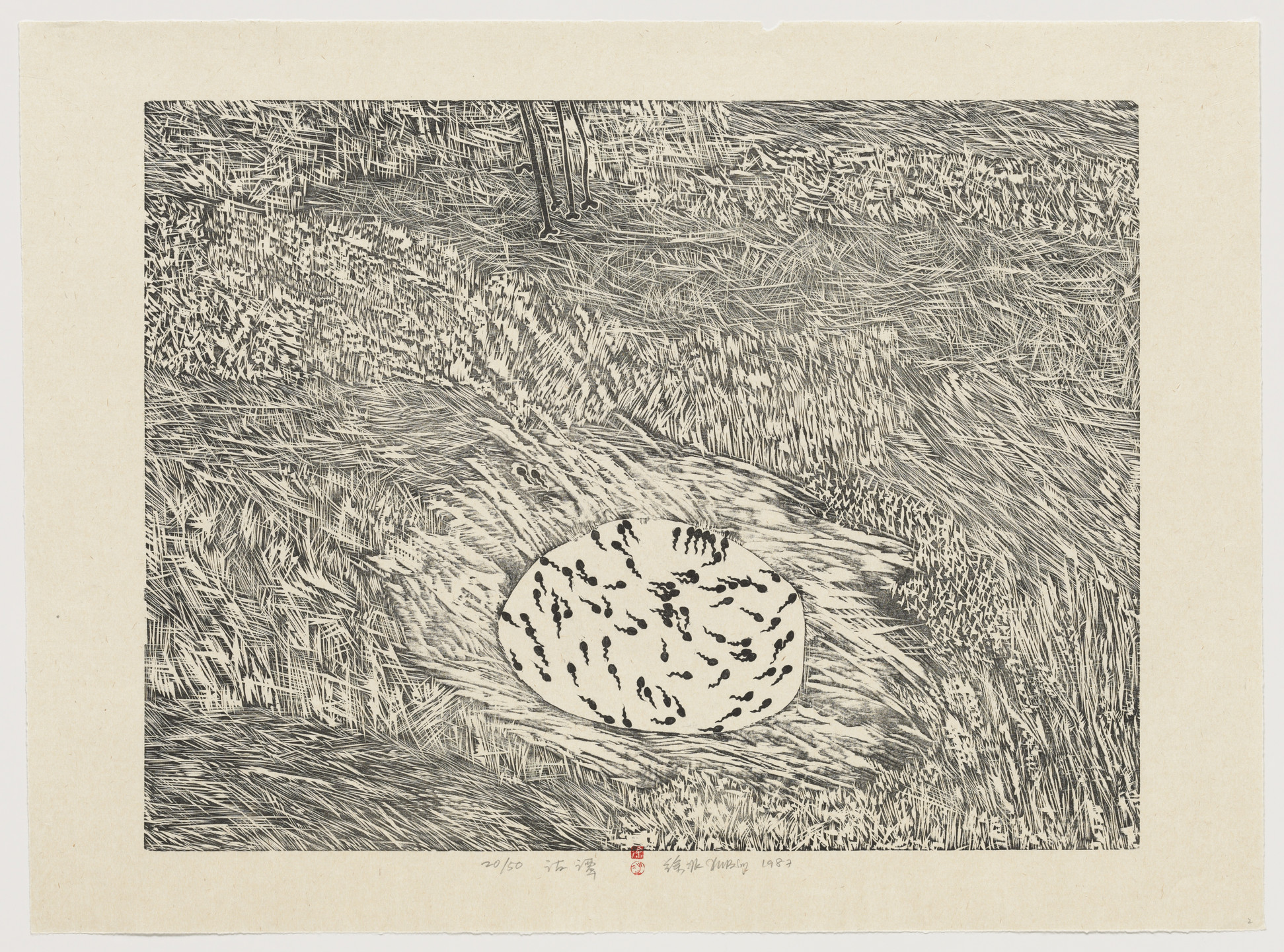 Xu Bing. Dry Pond from Series of Repetitions. 1987