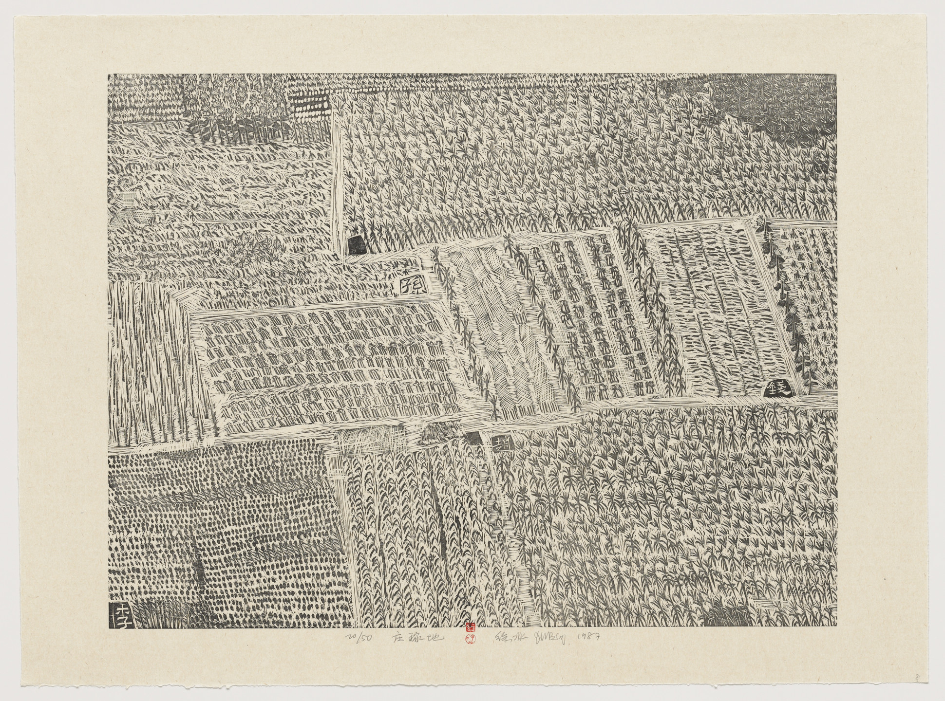 Xu Bing. Cropland from Series of Repetitions. 1987