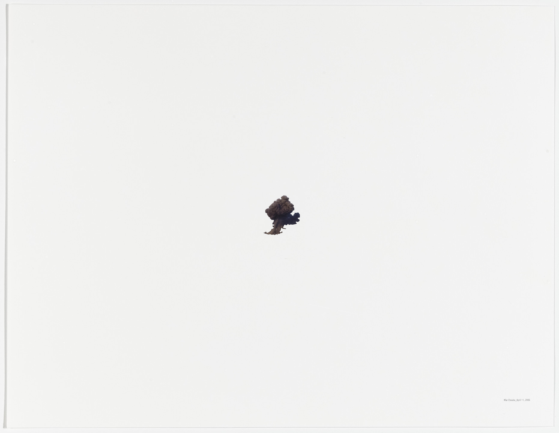 Walid Raad. Oh God, he said, talking to a tree_Kfar Chouba: April 11, 2006. 2004/2008