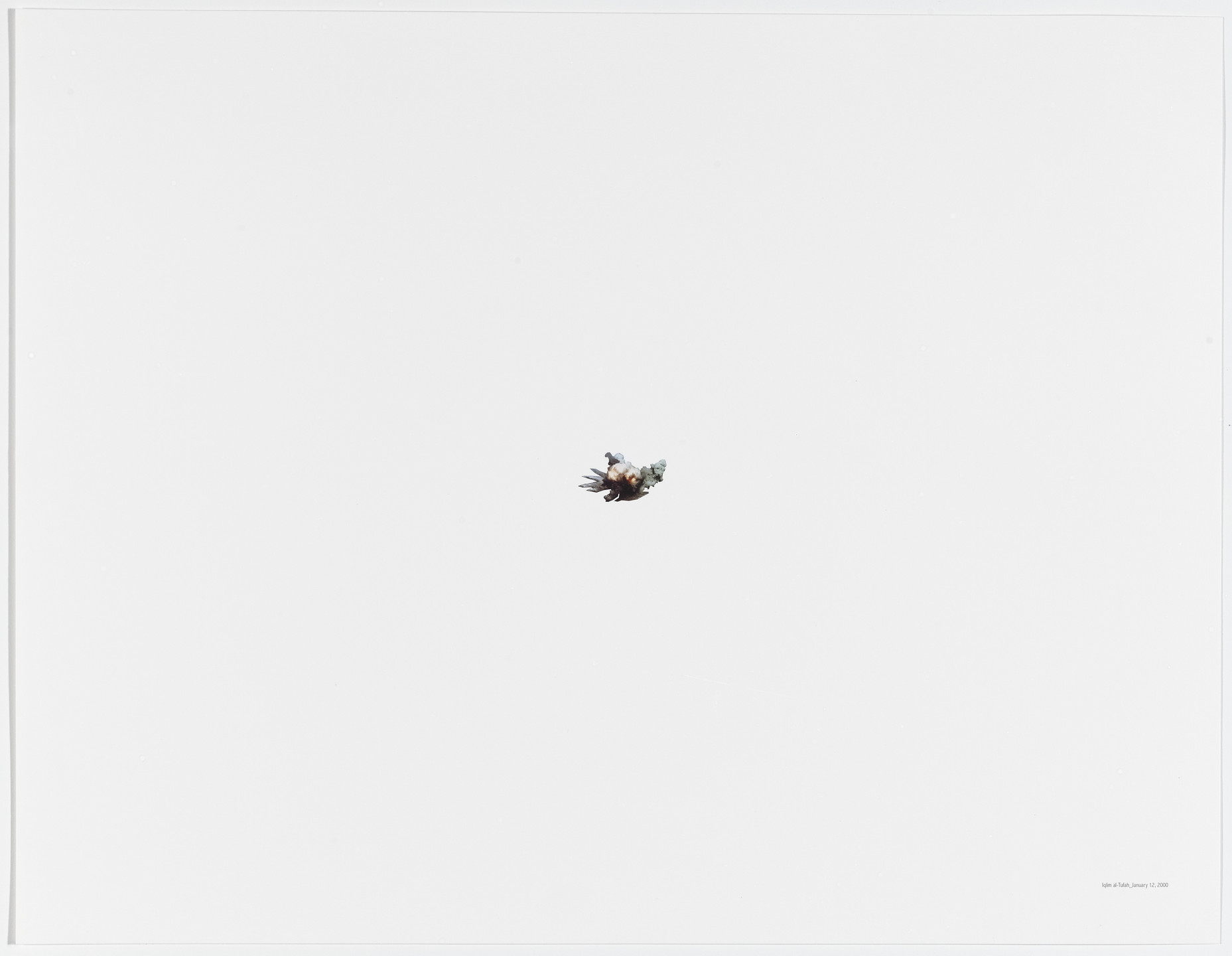 Walid Raad. Oh God, he said, talking to a tree_Iqlim al-Tufah: January 12, 2000. 2004/2008