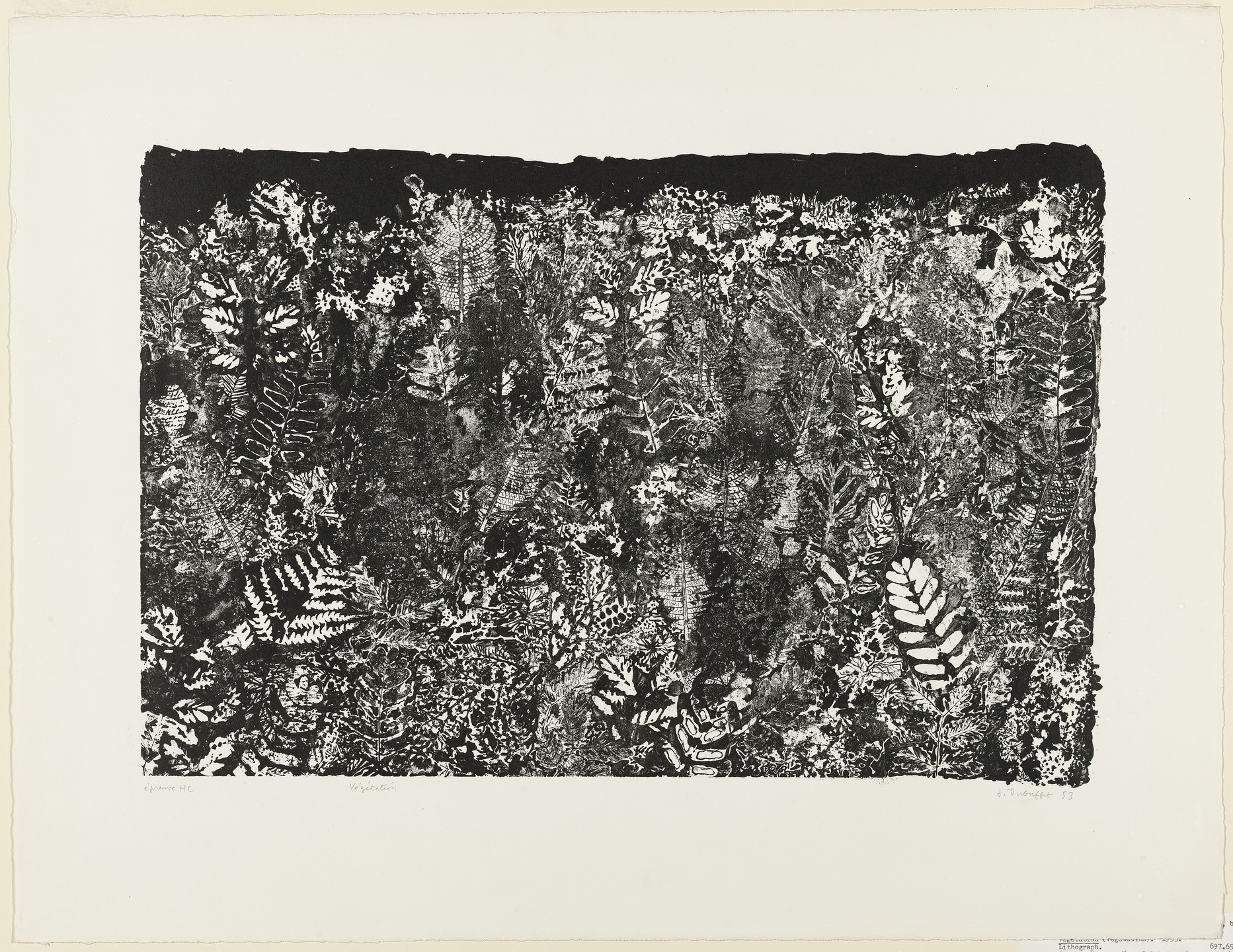 Jean Dubuffet. Vegetation (Végétation). 1953