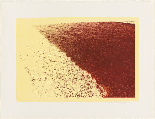 Sun Lawn III