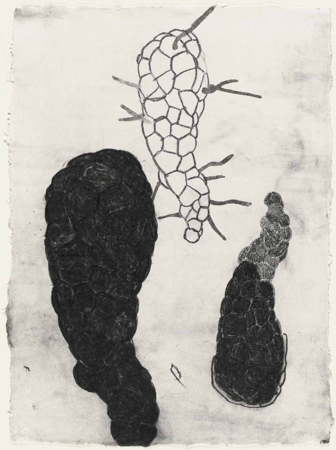 Terry Winters. Factors of Increase. 1983