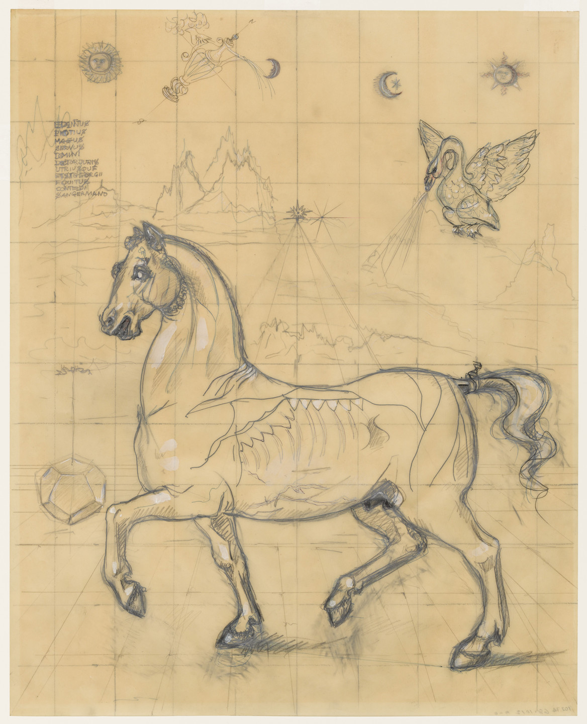 John D. Graham. Horse. c. 1953