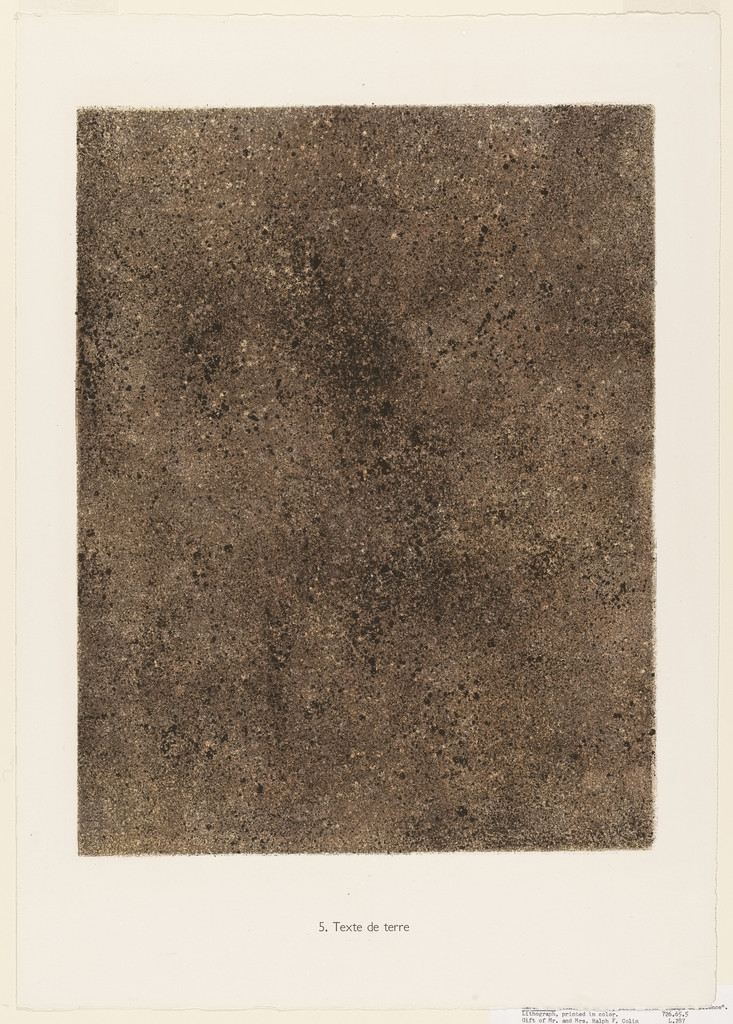 Earth Text (Texte de terre) from the portfolio Fields of Silence (Champs de silence) from Phenomena (Les Phénomènes)