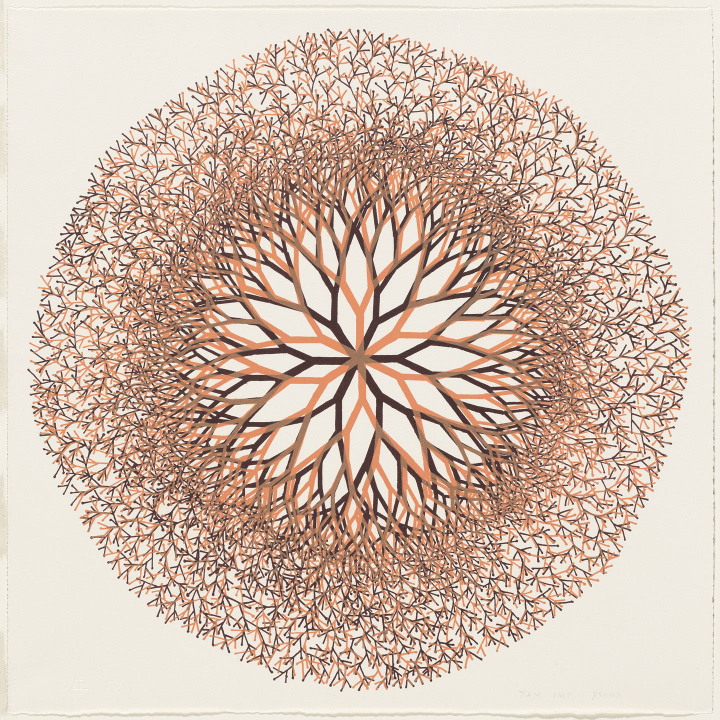 Ruth Asawa. Desert Flower. 1965