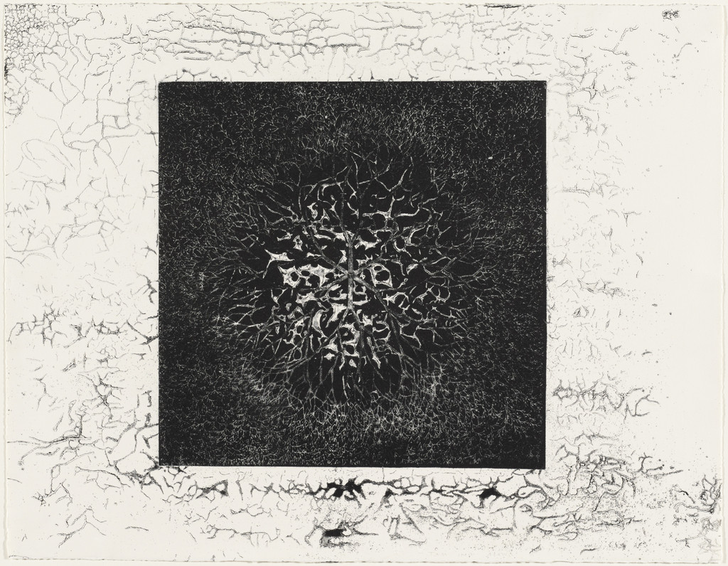 Desert Flower (TAM.1469-III), Ruth Asawa, 1965