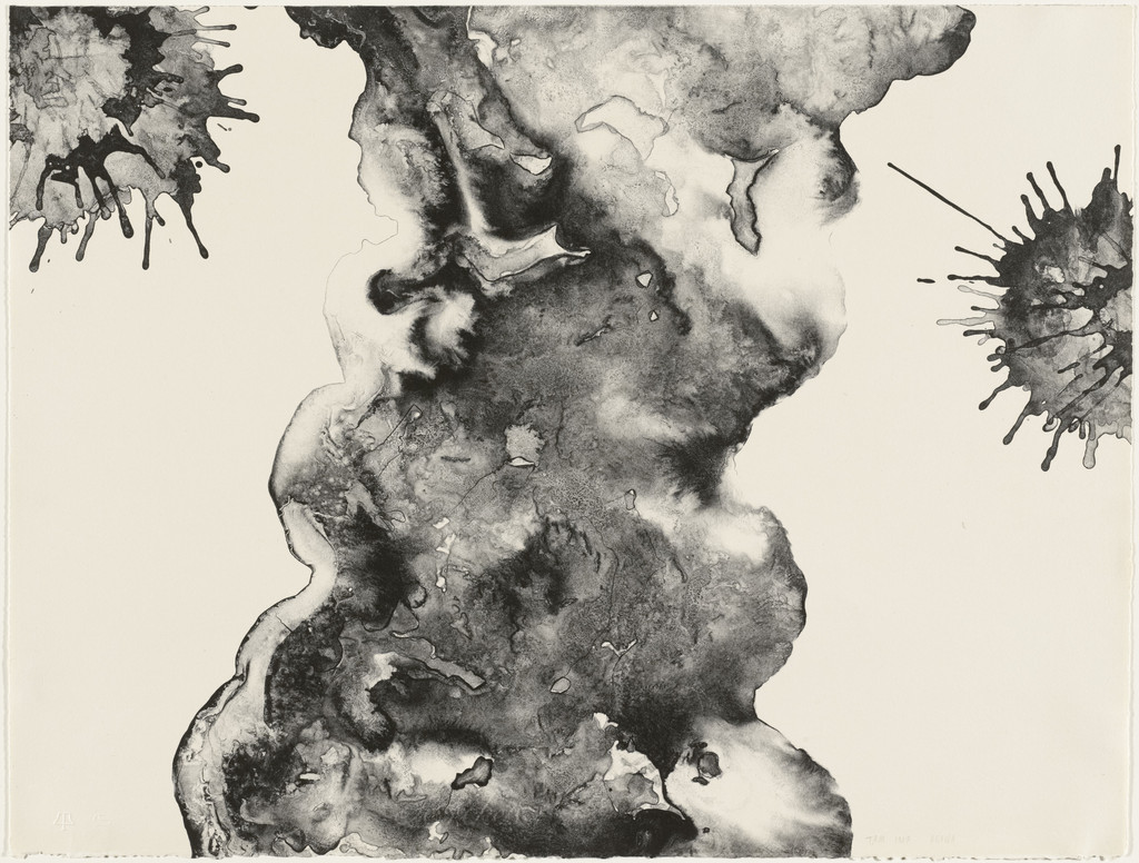 Plane Tree (TAM.1470)