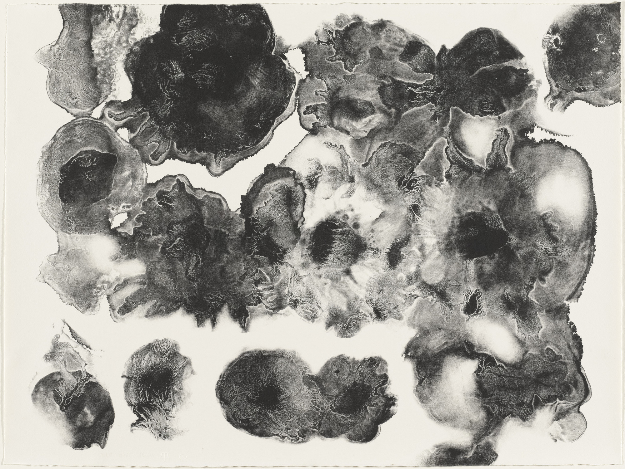Ruth Asawa. Untitled (TAM.1487, Black Wash)