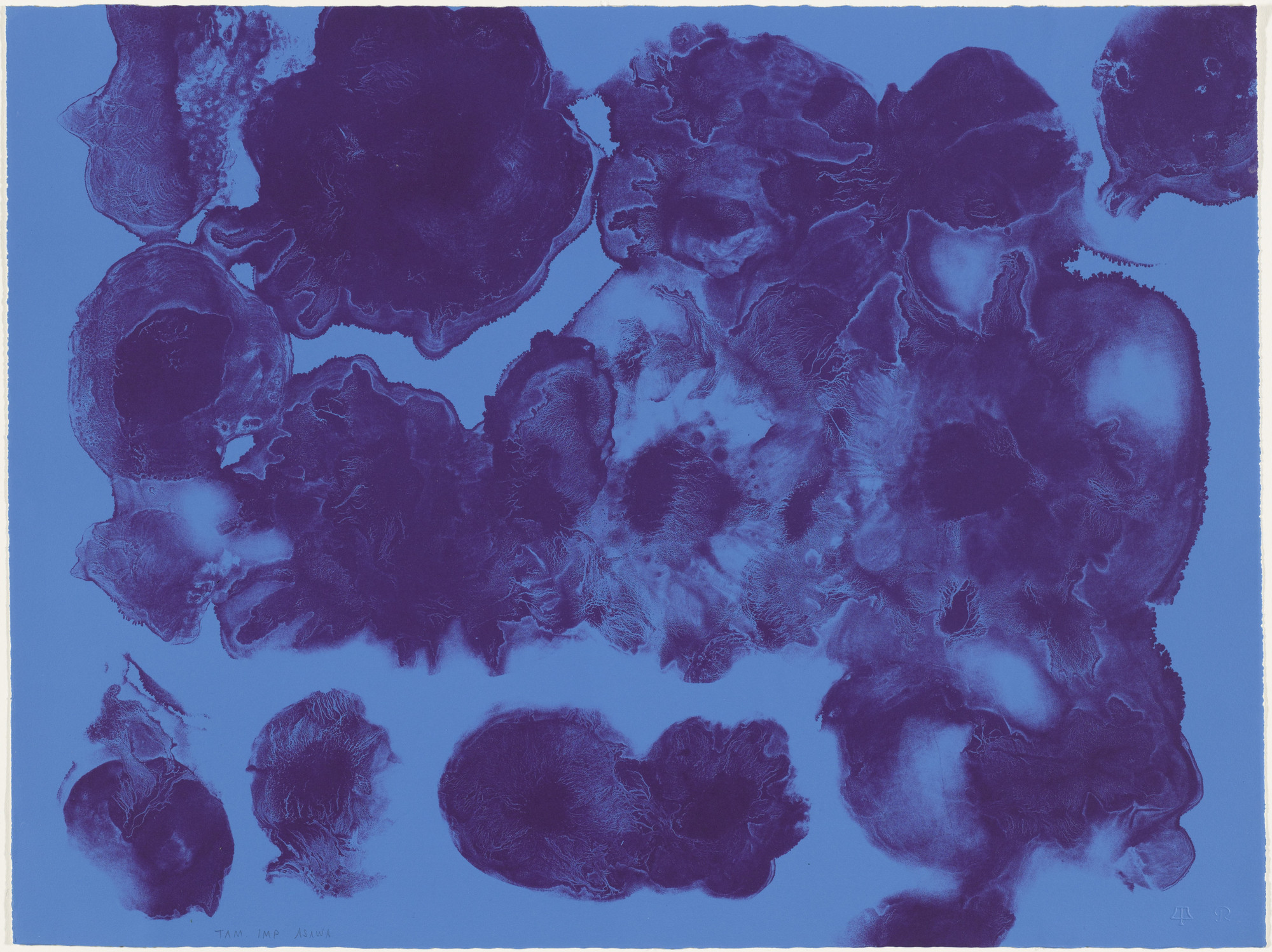 Ruth Asawa. Untitled (TAM.1487-II, Blue and Purple Wash)