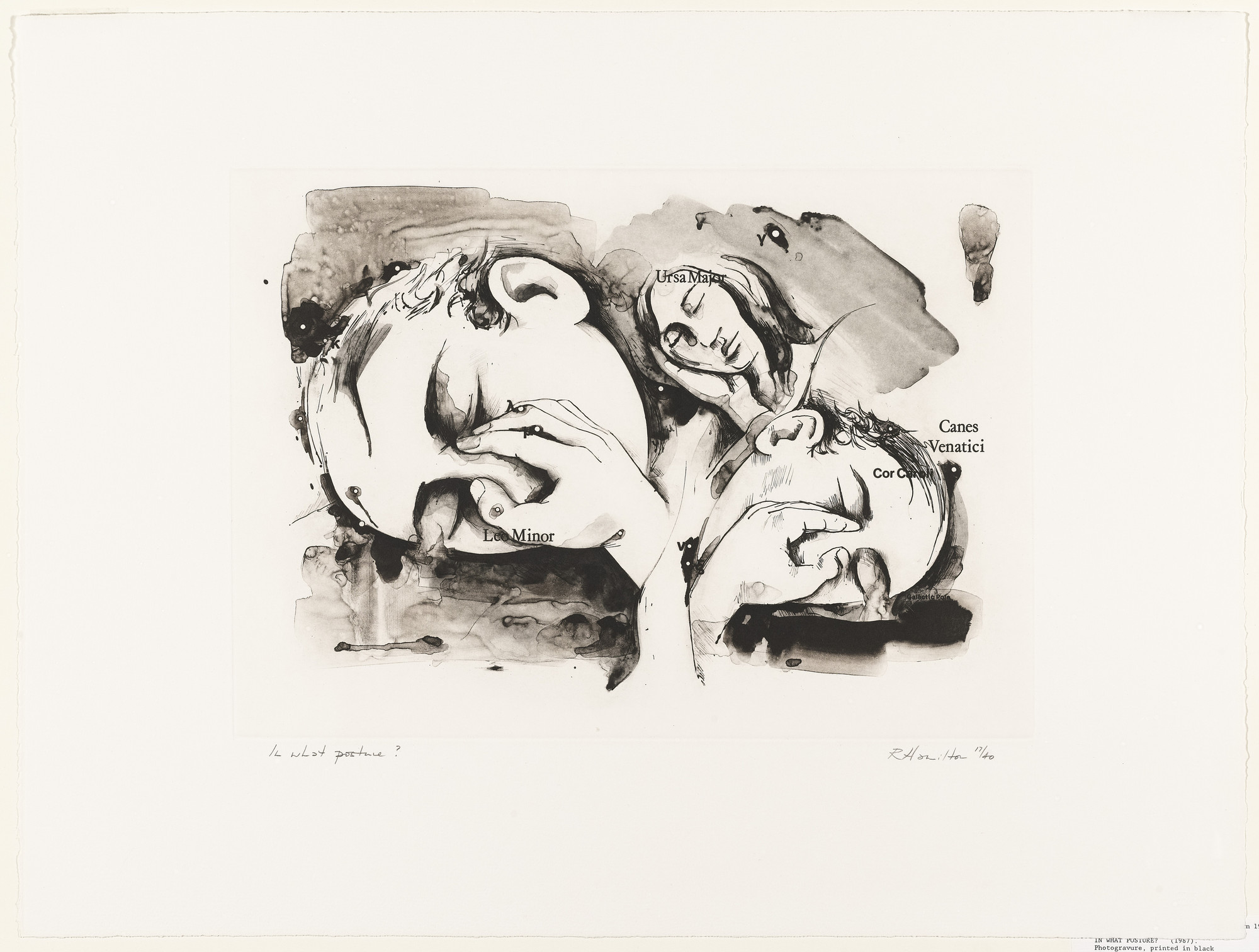 Richard Hamilton. In What Posture?