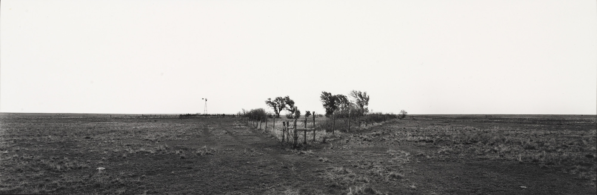Mary Peck. Abandoned Homesite, Rita Blanca Grasslands, Texas. 1984