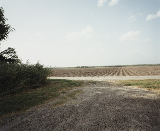 Los Ebanos, Texas