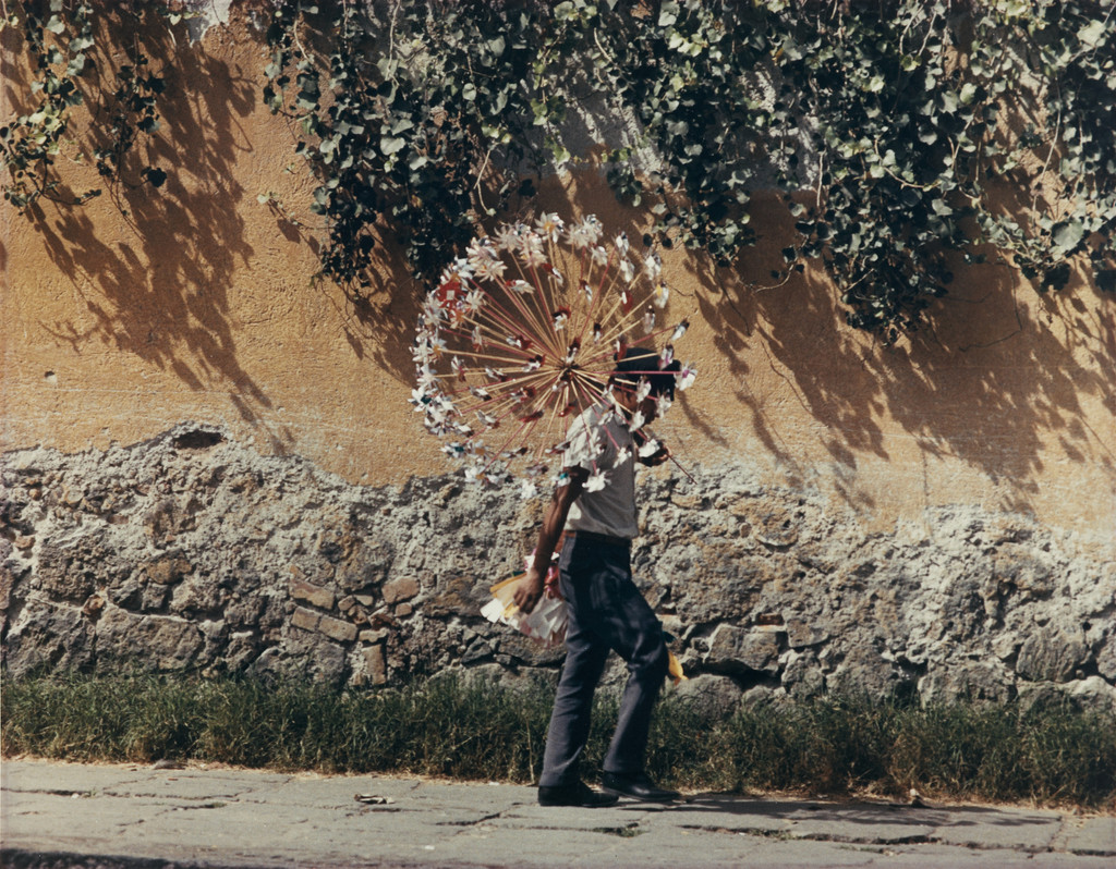 Los rehiletes (The Pinwheels)