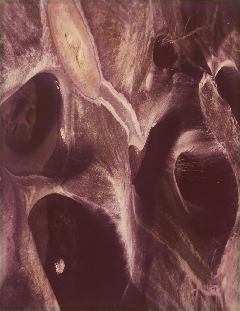 Untitled, Howard Dearstyne, 1958