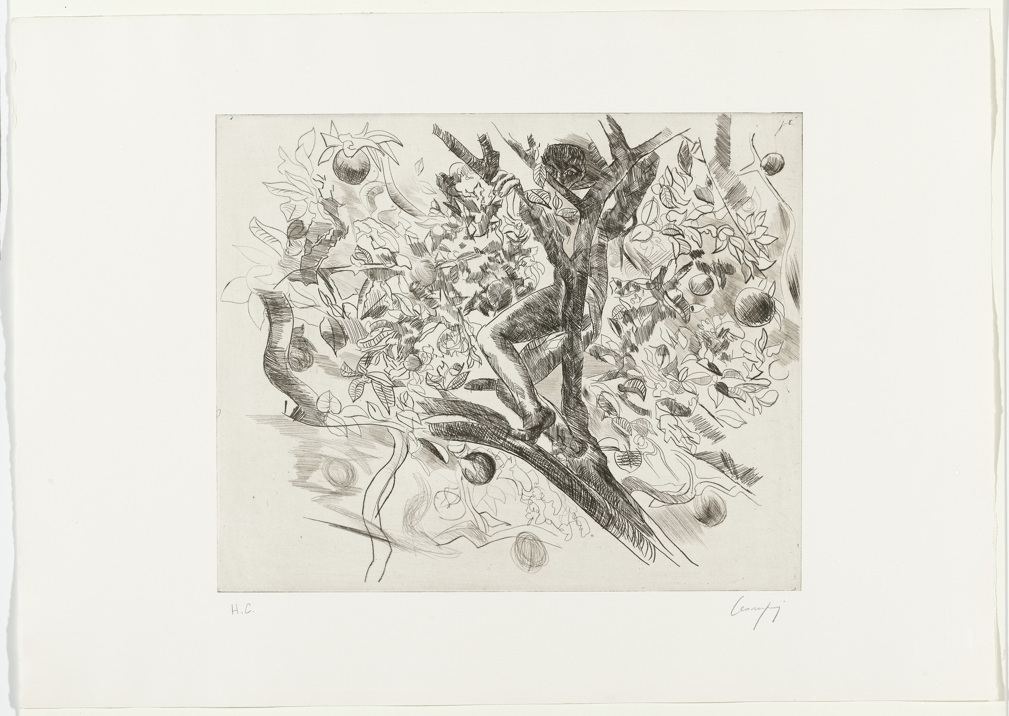 Raffaele Leomporri. Boy on an Apple Tree