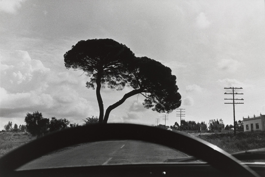 Spain, Paseo de Martiricos, Malaga, Joel Meyerowitz, 1967