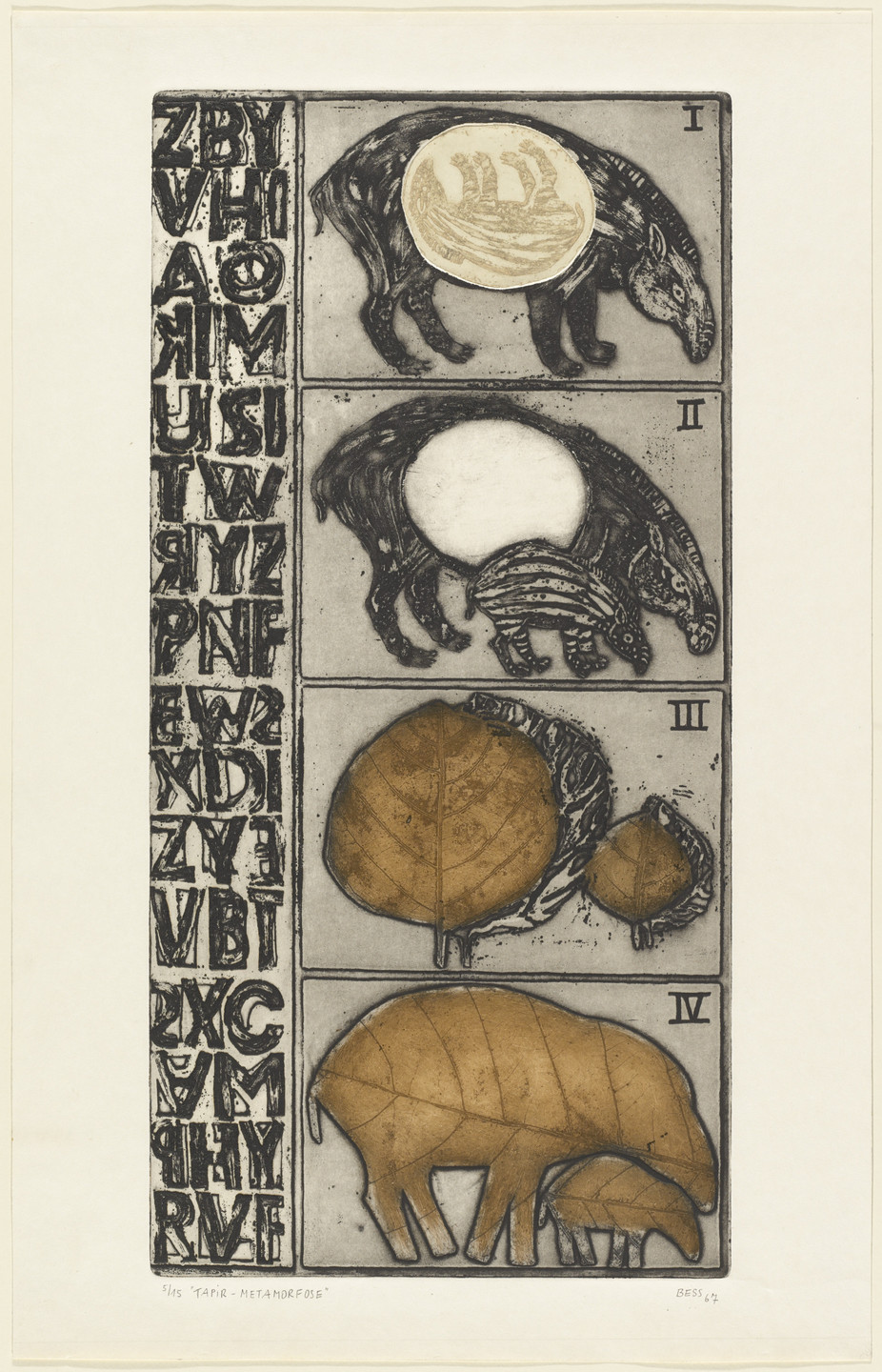 Ruth Bessoudo Courvoisier. Tapir-Metamorphosis (Tapir-metamorfose). 1967
