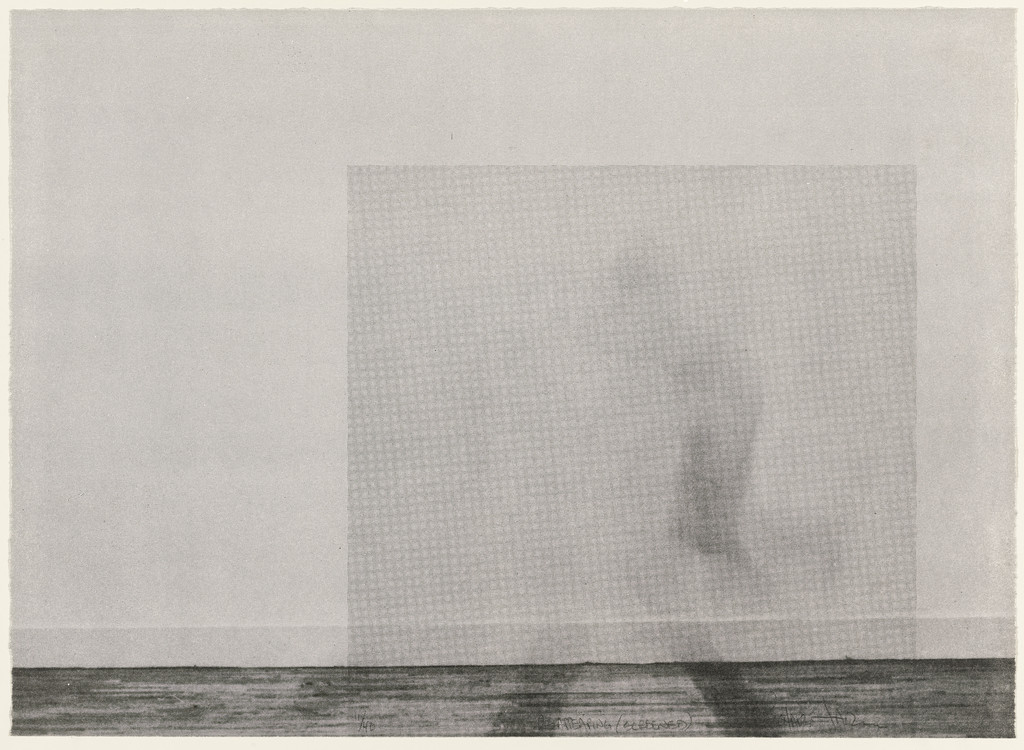 Disappearing (Screened)