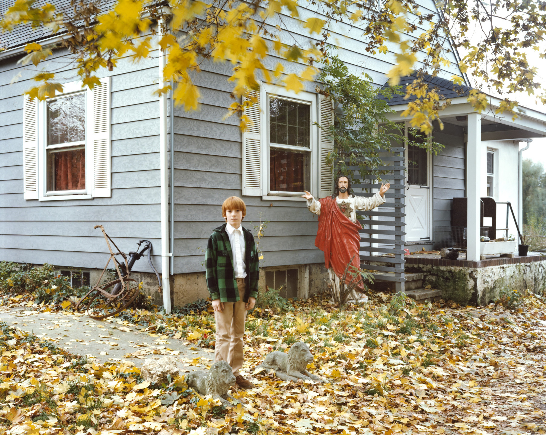 David Marshall Graham. Robin, Feasterville, Pennsylvania. October 11, 1979