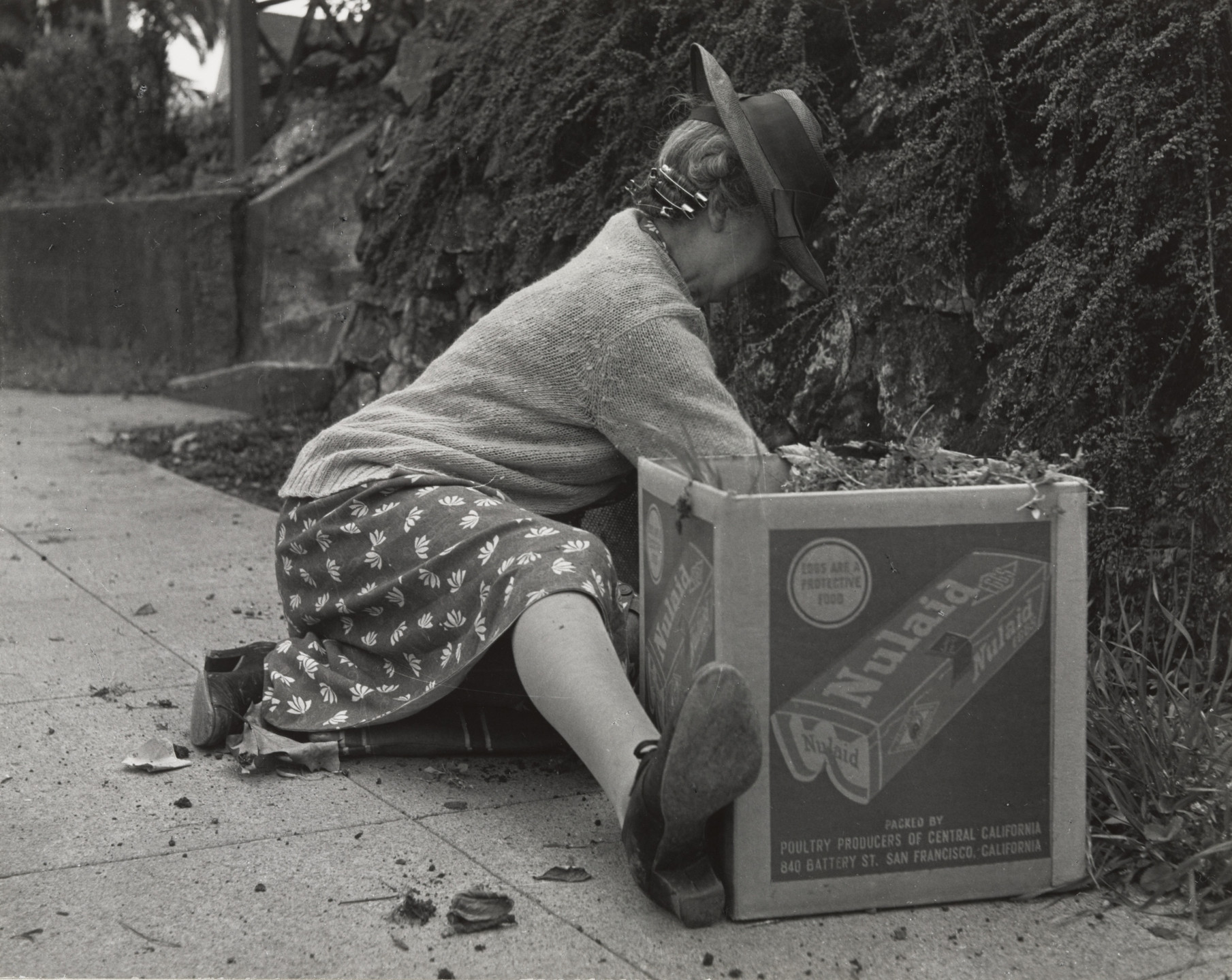 Dorothea Lange. Spring in Berkeley. 1952