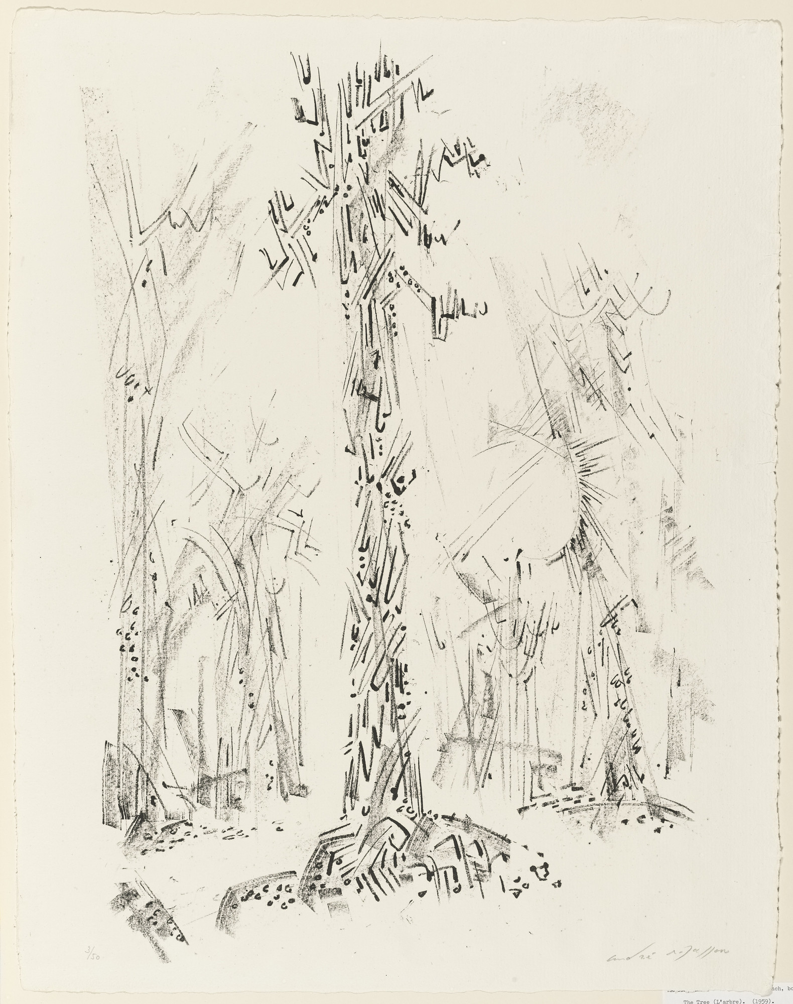 André Masson. The Tree ( L'Arbre )