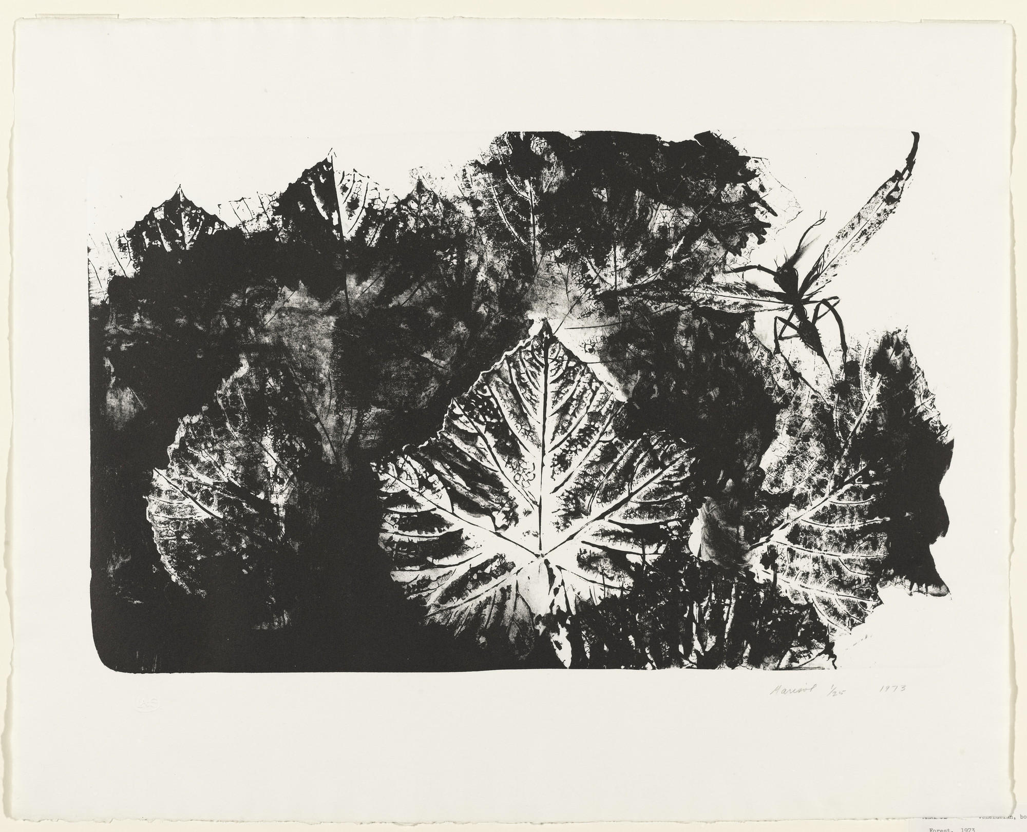 Marisol (Marisol Escobar). Forest