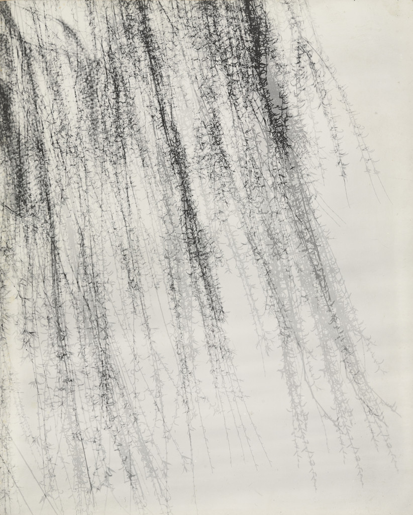 Detroit, Harry Callahan, 1945