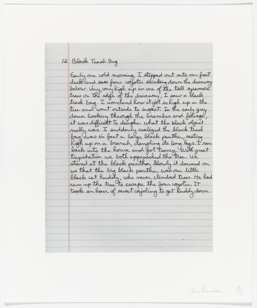 Untitled from Coyote Stories