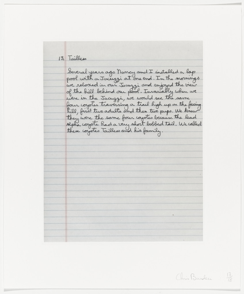 Untitled from Coyote Stories