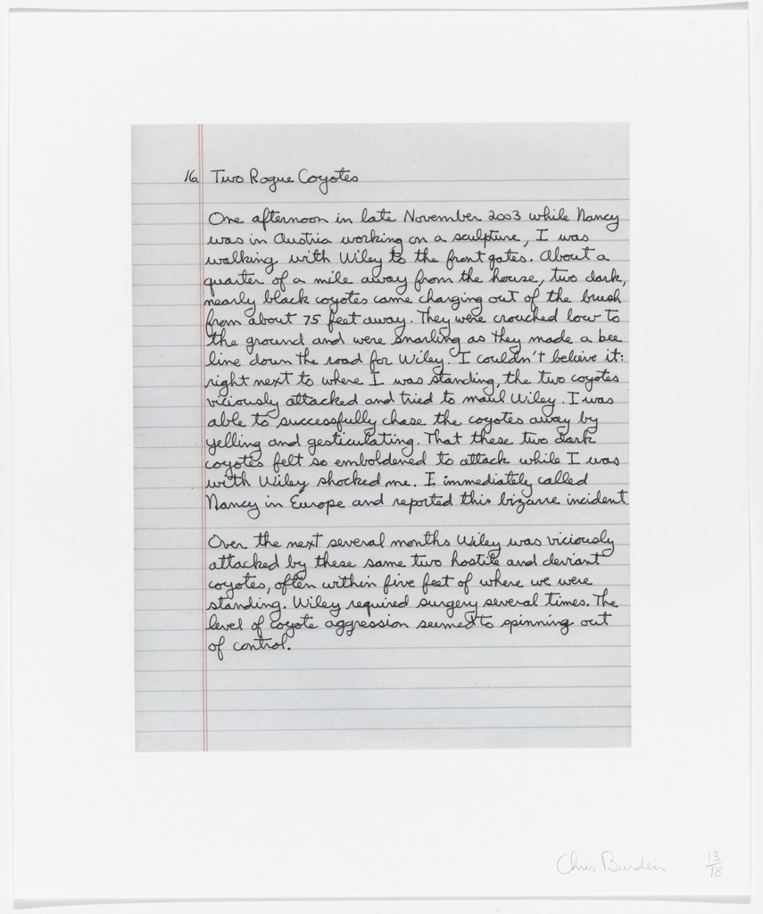 Untitled from Coyote Stories